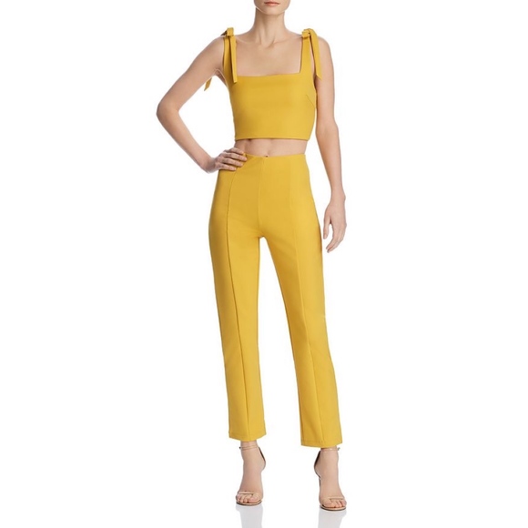 Tiger Mist Pants - New Tiger Mist Kinsley Center Seamed Pants XS